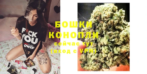 сатива Балабаново