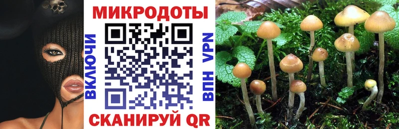 Псилоцибиновые грибы ЛСД  Купино 